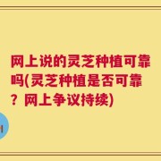 网上说的灵芝种植可靠吗(灵芝种植是否可靠？网上争议持续)