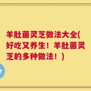 羊肚菌灵芝做法大全(好吃又养生！羊肚菌灵芝的多种做法！)