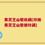 黄灵芝山歌收藏(珍稀黄灵芝山歌被珍藏)