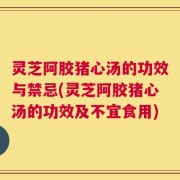 灵芝阿胶猪心汤的功效与禁忌(灵芝阿胶猪心汤的功效及不宜食用)