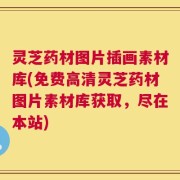 灵芝药材图片插画素材库(免费高清灵芝药材图片素材库获取，尽在本站)