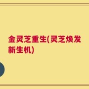 金灵芝重生(灵芝焕发新生机)