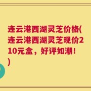 连云港西湖灵芝价格(连云港西湖灵芝现价210元盒，好评如潮！)