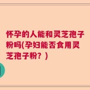 怀孕的人能和灵芝孢子粉吗(孕妇能否食用灵芝孢子粉？)