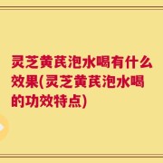 灵芝黄芪泡水喝有什么效果(灵芝黄芪泡水喝的功效特点)
