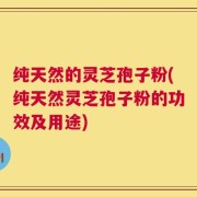 纯天然的灵芝孢子粉(纯天然灵芝孢子粉的功效及用途)