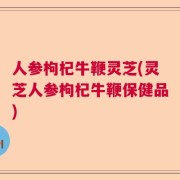 人参枸杞牛鞭灵芝(灵芝人参枸杞牛鞭保健品)