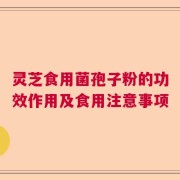 灵芝食用菌孢子粉的功效作用及食用注意事项