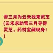 雪三月为云禾找来灵芝(云禾求助雪三月寻得灵芝，药材宝藏现身！)