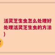活灵芝生虫怎么处理好处理活灵芝生虫的方法)