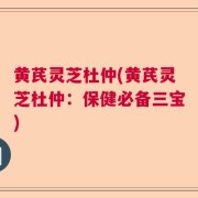 黄芪灵芝杜仲(黄芪灵芝杜仲：保健必备三宝)