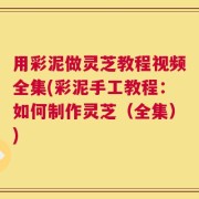 用彩泥做灵芝教程视频全集(彩泥手工教程：如何制作灵芝（全集）)