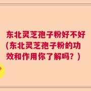 东北灵芝孢子粉好不好(东北灵芝孢子粉的功效和作用你了解吗？)