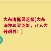 大东海抓灵芝蟹(大东海发现灵芝蟹，让人大开眼界！)