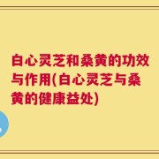 白心灵芝和桑黄的功效与作用(白心灵芝与桑黄的健康益处)