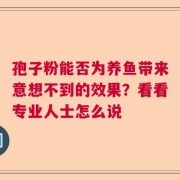 孢子粉能否为养鱼带来意想不到的效果？看看专业人士怎么说