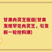 甘肃肉灵芝报道(甘肃发现罕见肉灵芝，引发新一轮抢购潮)