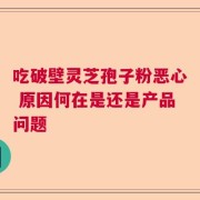 吃破壁灵芝孢子粉恶心 原因何在是还是产品问题