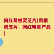 网红葛根灵芝片(葛根灵芝片：网红明星产品)