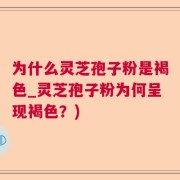 为什么灵芝孢子粉是褐色_灵芝孢子粉为何呈现褐色？)