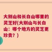 大别山和长白山哪里的灵芝好(大别山与长白山：哪个地方的灵芝更珍贵？)