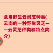 食用野生云灵芝种类(云南的一种野生灵芝——云灵芝种类和特点简介)