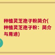 种植灵芝孢子粉简介(种植灵芝孢子粉：简介与用途)