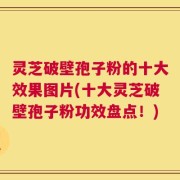 灵芝破壁孢子粉的十大效果图片(十大灵芝破壁孢子粉功效盘点！)