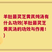 羊肚菌灵芝黄芪炖汤有什么功效(羊肚菌灵芝黄芪汤的功效与作用！)