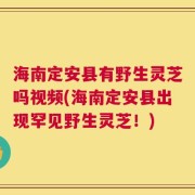 海南定安县有野生灵芝吗视频(海南定安县出现罕见野生灵芝！)