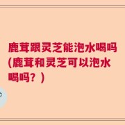 鹿茸跟灵芝能泡水喝吗(鹿茸和灵芝可以泡水喝吗？)