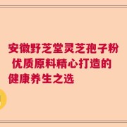 安徽野芝堂灵芝孢子粉 优质原料精心打造的健康养生之选