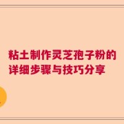粘土制作灵芝孢子粉的详细步骤与技巧分享