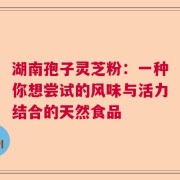 湖南孢子灵芝粉：一种你想尝试的风味与活力结合的天然食品