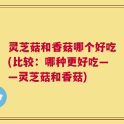 灵芝菇和香菇哪个好吃(比较：哪种更好吃——灵芝菇和香菇)