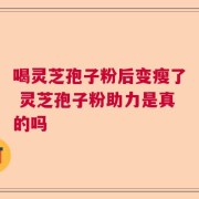 喝灵芝孢子粉后变瘦了 灵芝孢子粉助力是真的吗