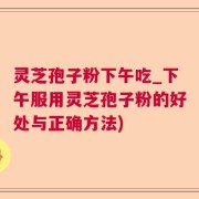 灵芝孢子粉下午吃_下午服用灵芝孢子粉的好处与正确方法)