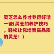 灵芝怎么养才养得好活一些(灵芝的养护技巧，轻松让你培育高品质的灵芝！)