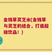 金钱草灵芝水(金钱草与灵芝的结合，打造超级饮品！)