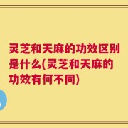 灵芝和天麻的功效区别是什么(灵芝和天麻的功效有何不同)