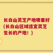 长白山灵芝产地哪里好(长白山区域适宜灵芝生长的产地！)