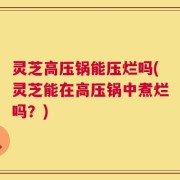 灵芝高压锅能压烂吗(灵芝能在高压锅中煮烂吗？)