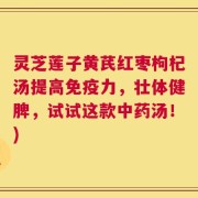 灵芝莲子黄芪红枣枸杞汤提高免疫力，壮体健脾，试试这款中药汤！)