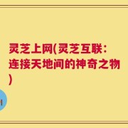 灵芝上网(灵芝互联：连接天地间的神奇之物)