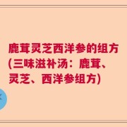 鹿茸灵芝西洋参的组方(三味滋补汤:鹿茸、灵芝、西洋参组方)