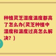种植灵芝湿度温度都高了怎么办(灵芝种植中湿度和温度过高怎么解决？)