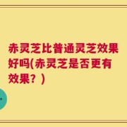 赤灵芝比普通灵芝效果好吗(赤灵芝是否更有效果？)
