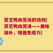 灵芝鸭肉煲汤的功效(灵芝鸭肉煲汤——美味滋补，增强免疫力)