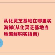 从化灵芝基地在哪里买海鲜(从化灵芝基地当地海鲜购买指南)