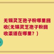 无锡灵芝孢子粉哪里回收(无锡灵芝孢子粉回收渠道在哪里？)